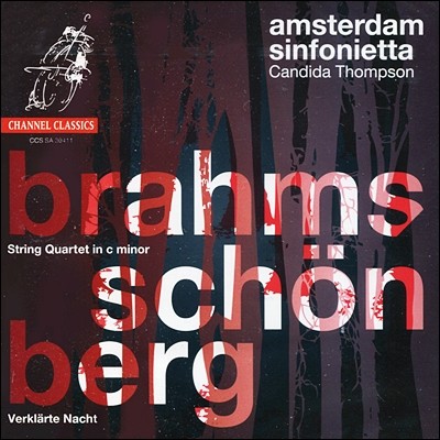 Candida Thompson :   / 麣ũ: ȸ  (Brahms : String Quartet Op.51 / Schoenberg : Verklarte Nacht) 