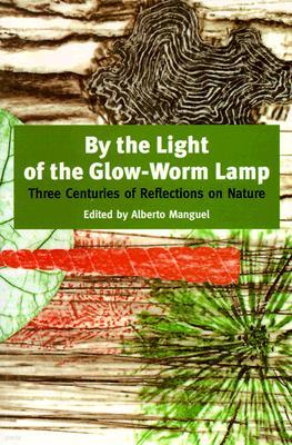 By the Light of the Glow-Worm Lamp