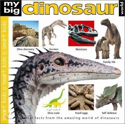 My Big Dinosaur World (Smart Kids)