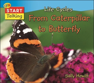 Life Cycles Caterpillar To Butterfly