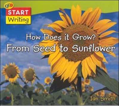 How Does It Grow? From Seed To Sunflower