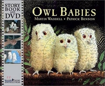 Owl Babies