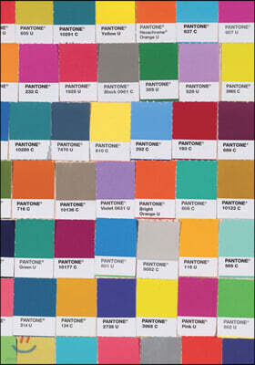 Pantone Chip Journal