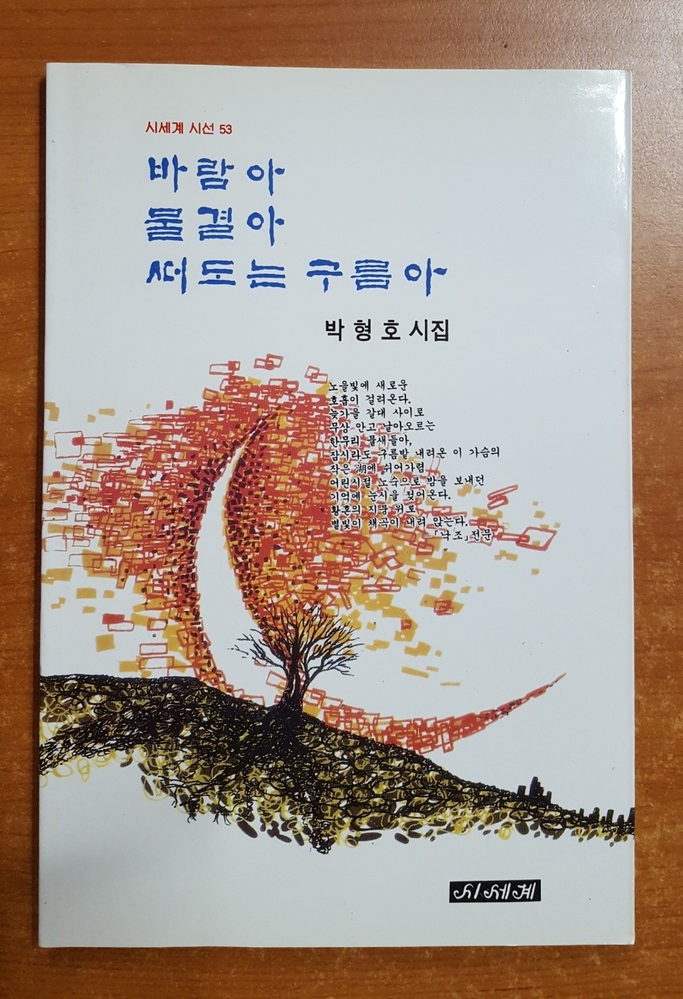 바람아 물결아 떠도는 구름아