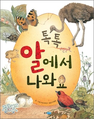 톡톡 알에서 나와요