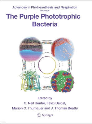 The Purple Phototrophic Bacteria