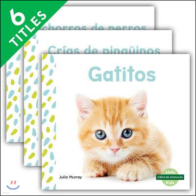 Crias de Animales (Baby Animals) (Spanish Version) (Set)