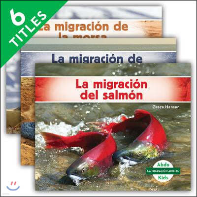 La Migracion Animal (Animal Migration) (Spanish Version) (Set)