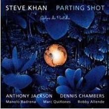 Steve Khan - Parting Shot