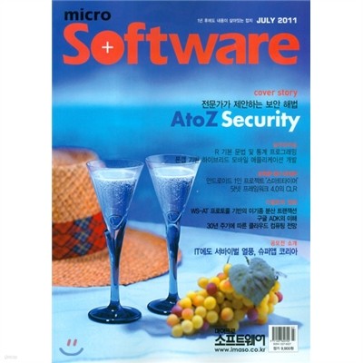 마이크로 소프트웨어 (월간) : 7월 [2011]