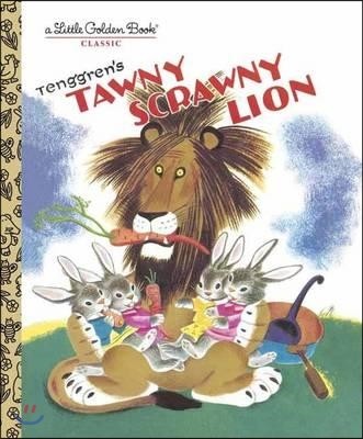 Tawny Scrawny Lion