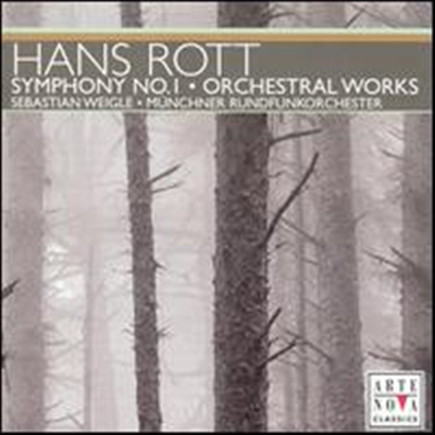 Ʈ:  1,  ǰ (Rott: Symphony No.1, Orchestral Works) - Sebastian Weigle