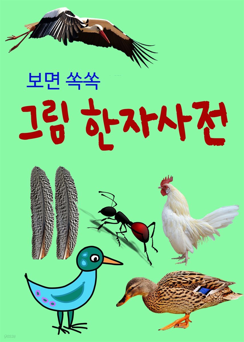 보면 쏙쏙 그림 한자사전 : 새와 곤충