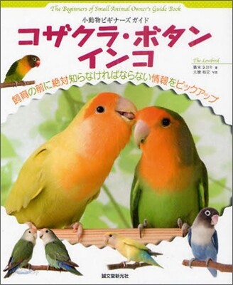 コザクラ.ボタンインコ