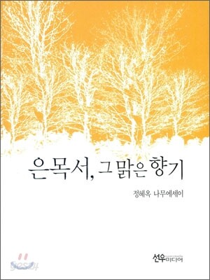 은목서, 그 맑은 향기