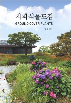 지피식물도감