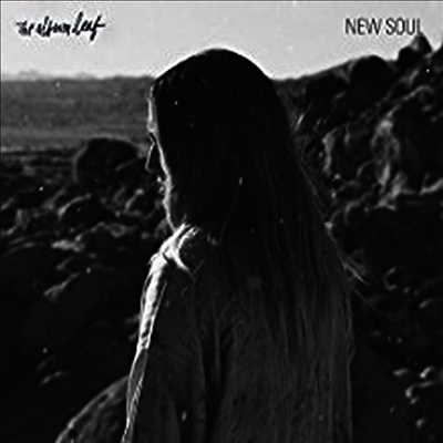 Album Leaf — New Soul 앨범 커버