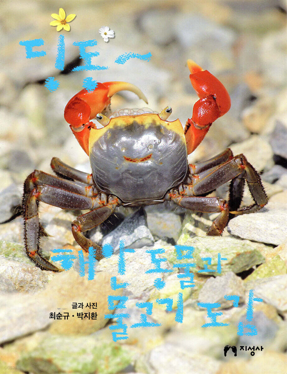 딩동~ 해안 동물과 물고기 도감