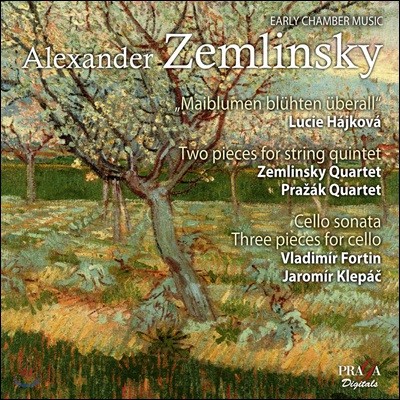 Zemlinsky Quartet ˷  Ű: ʱ ǳ ǰ (Alexander von Zemlinsky: Early Chamber Music)
