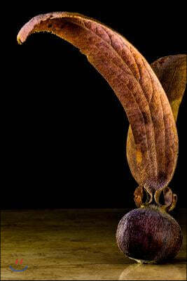 Sprouting Teak Tree Seed Journal: Take Notes, Write Down Memories in This 150 Page Lined Journal