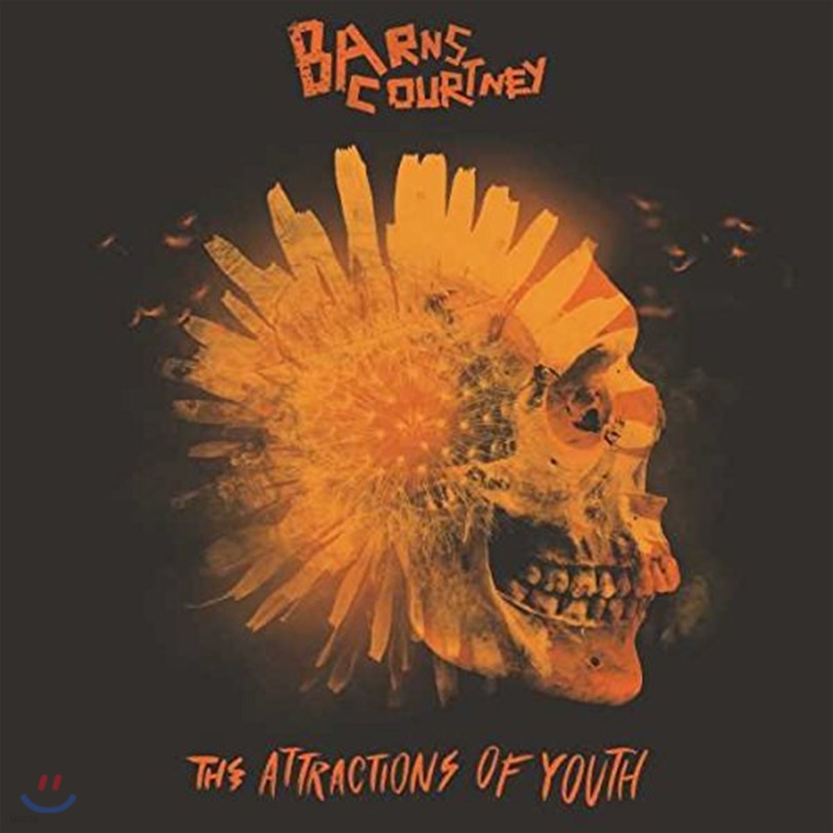Barns Courtney (반스 코트니) - The Attractions Of Youth