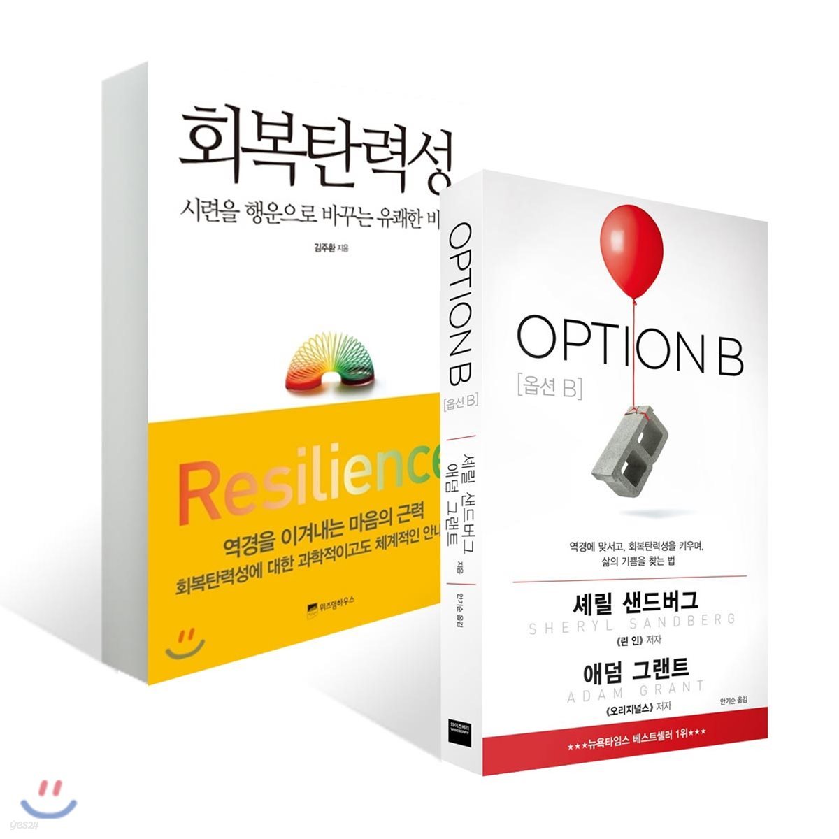 OPTION B 옵션 비 + 회복 탄력성