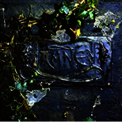 Damned — The Black Album 앨범 커버