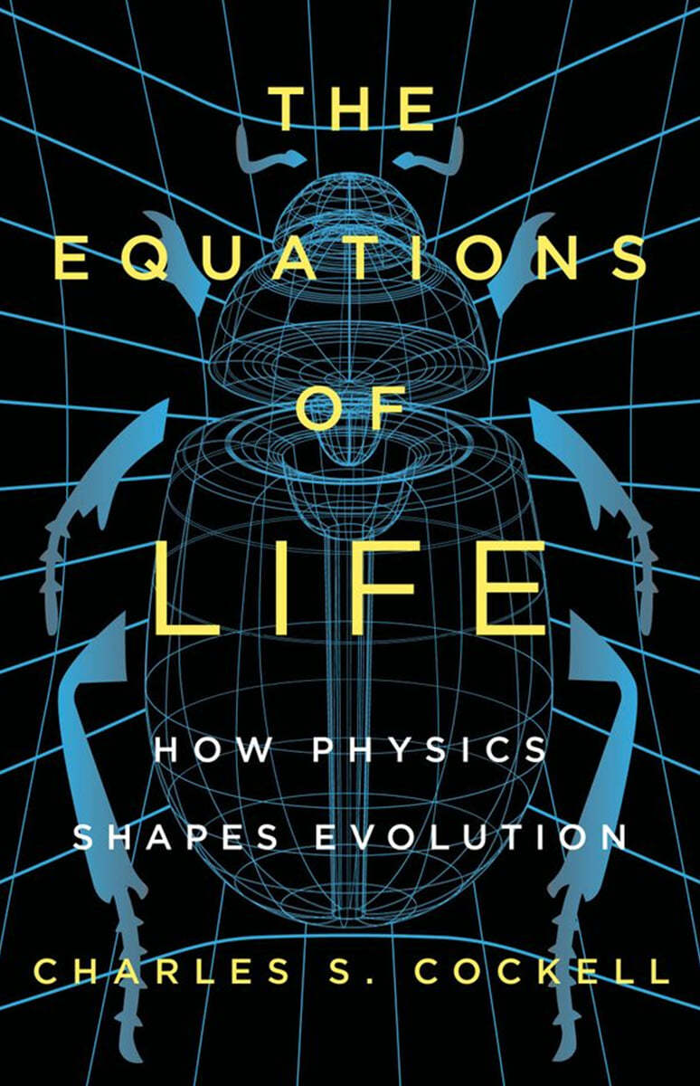 The Equations of Life: How Physics Shapes Evolution