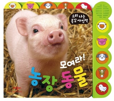 모여라! 농장 동물