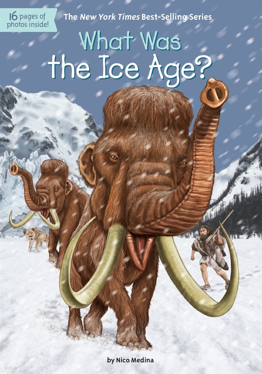 What Was the Ice Age?