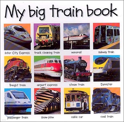 My Big Train Book