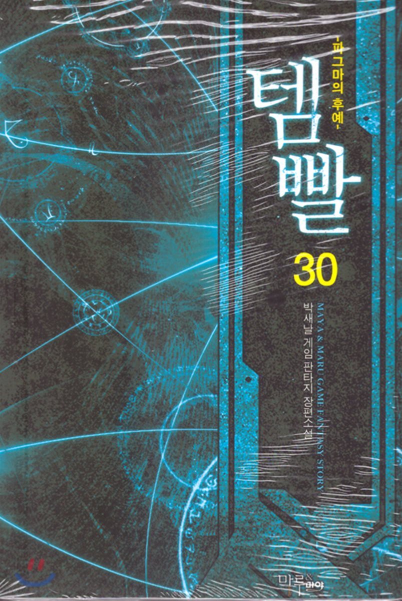 템빨 30