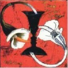 Toad The Wet Sprocket - Dulcinea (수입)