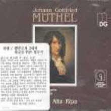 Musica Alta Ripa - Muthel : Concerts (/2CD/mdg32504522)