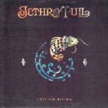 [LP] Jethro Tull - Catfish Rising