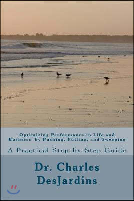 Optimizing Performance in Life and Business by Pushing, Pulling, and Sweeping: A Practical Step-by-Step Guide