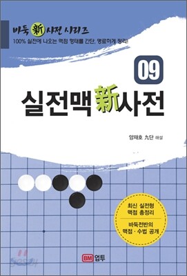 실전맥신사전