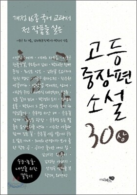 고등중장편소설 30 (상)