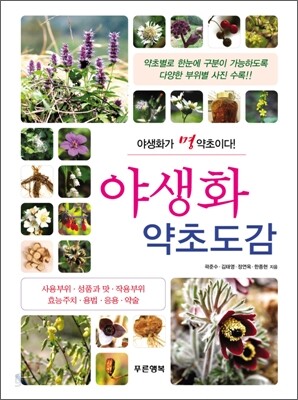 야생화 약초도감