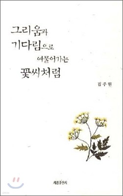 그리움과 기다림으로 여물어가는 꽃씨처럼