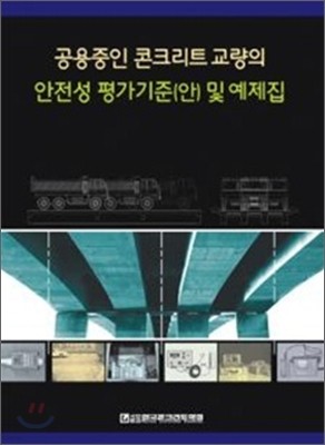 공용중인 콘크리트교량의 안전성 평가기준(안) 및 예제집