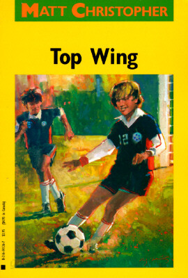 Top Wing