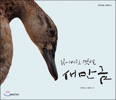 잃어버린 갯벌 새만금