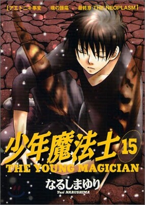 少年魔法士 15