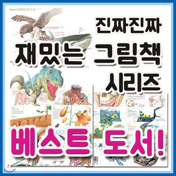 2019년필독도서추천/진짜 진짜 재밌는 그림책 세트 /12권/신기한 동물그림책