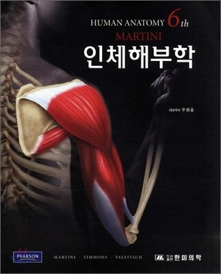 인체해부학