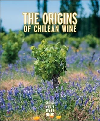The Origins of Chilean Wine