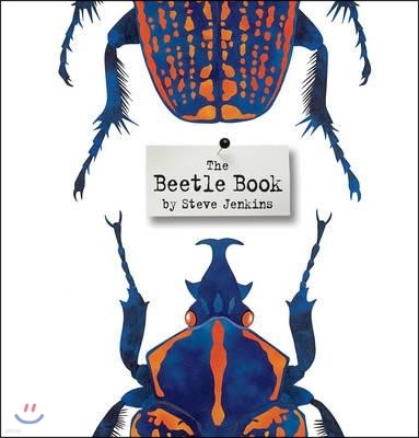 The Beetle Book