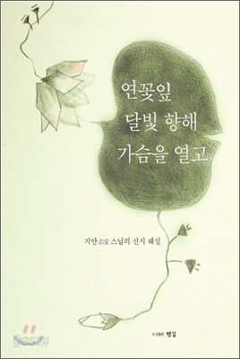 연꽃잎 달빛 향해 가슴을 열고