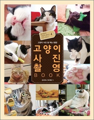 고양이 사진 촬영 BOOK